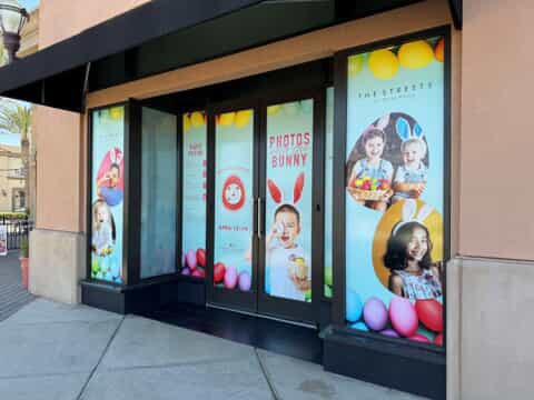 Window Graphics